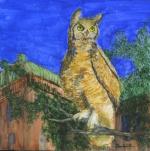 Great Horned Owl at the Courthouse